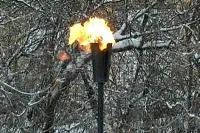 Факел садовый январь 2012 (197221) производство ø 65 мм. ветроустойчивая  в Щёлково