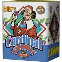 Батарея салютов Кардинал ОС8290 купить от производителя Русский Фейерверк — Щёлково